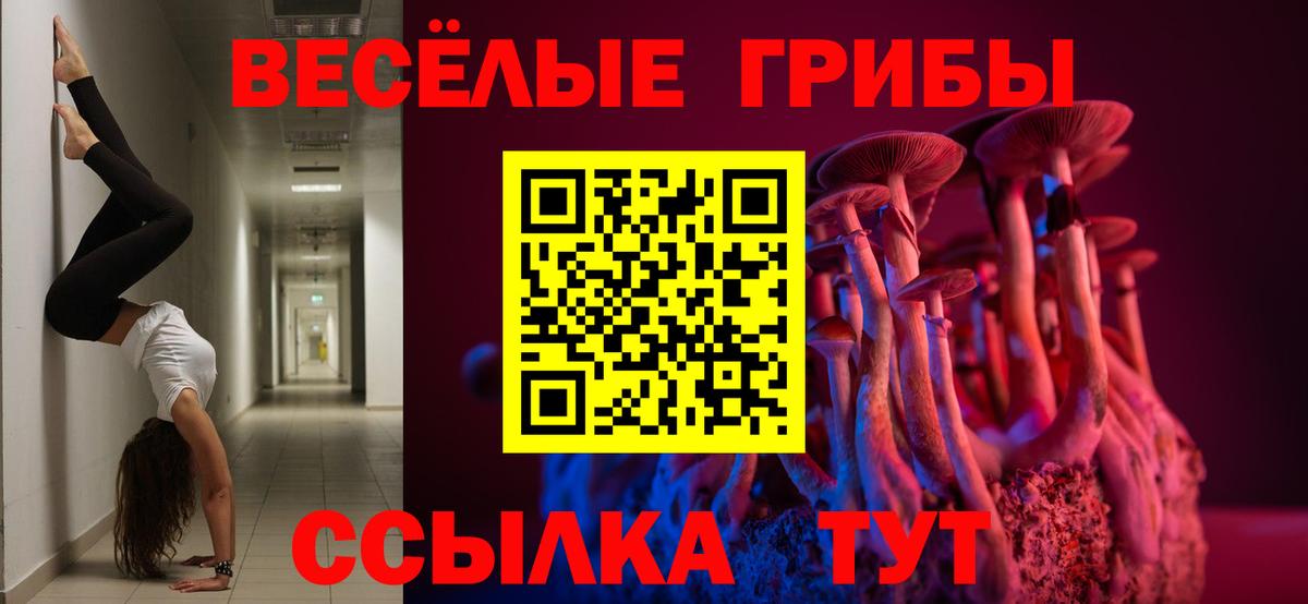 Галлюциногенные грибы MAGIC MUSHROOMS  наркота  Похвистнево  Вход с VPN 